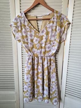 Lush Floral Sheer Mini Short Sleeve Dress Size XS
